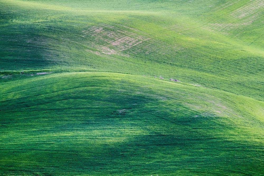 Ilustrasi Bukit Hijau (https://www.pexels.com/id-id/@jessef11/)