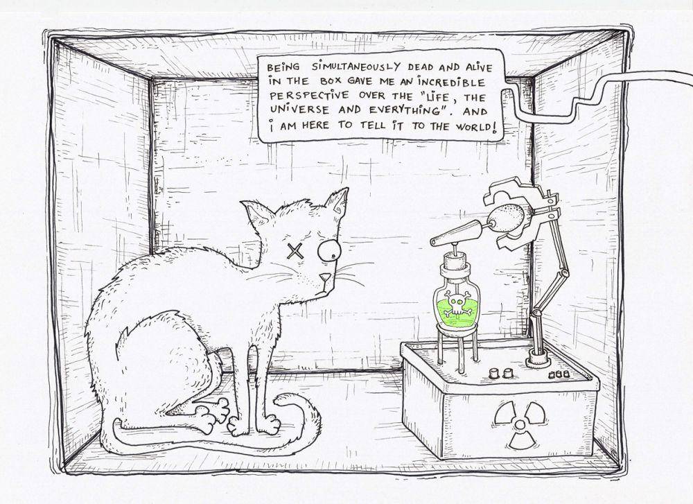 Kucing Schrödinger (commons.wikimedia.org/ADA dan Neagoe)