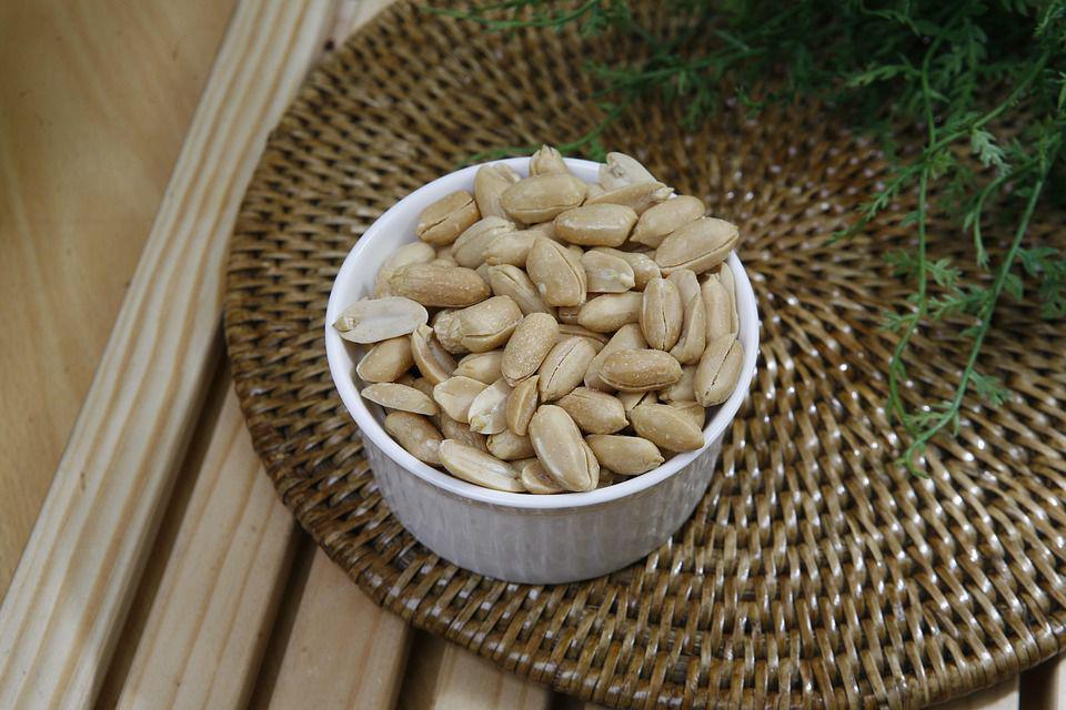 ilustrasi kacang bawang (pixabay.com/heecehil)