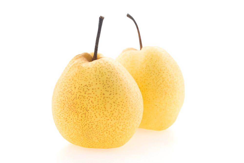 ilustrasi pir (freepik.com/lifeforstock)