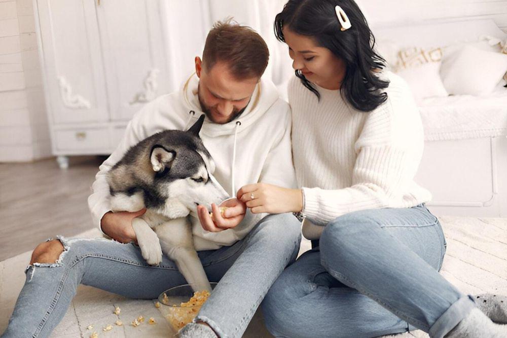 5 Kepribadian MBTI yang Memiliki Ketertarikan pada Animal Lovers