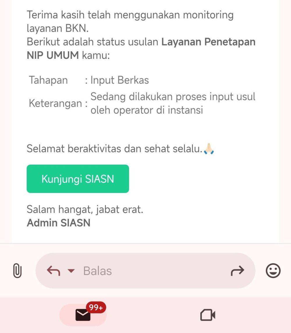 notifikasi email yang menyatakan bahwa usulan NIP sedang diinput oleh operator di instansi (dok.pribadi/Reyvan Maulid)