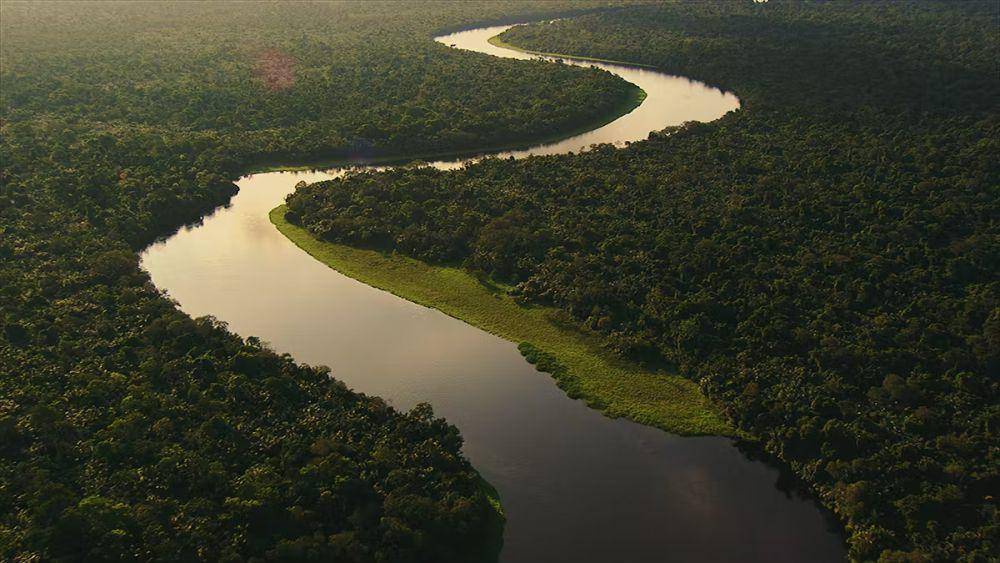 Sungai Kongo (bezosearthfund.org)