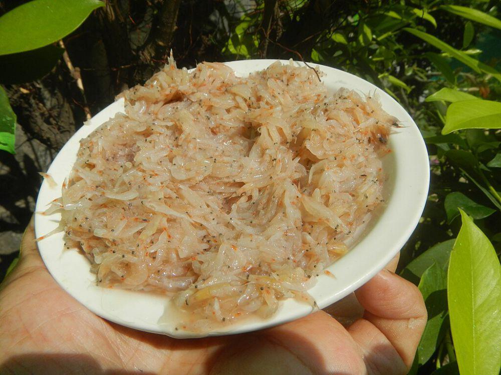 ilustrasi udang rebon (commons.wikimedia.org/Judgefloro)