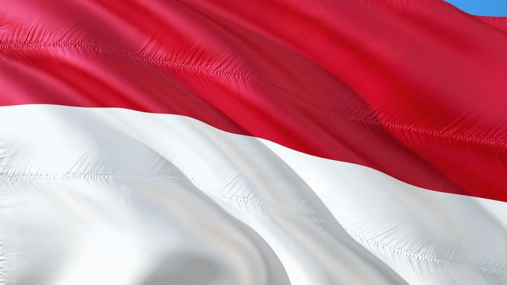 Rapor Laga Debut 4 Pelatih Asing Terakhir Timnas Indonesia