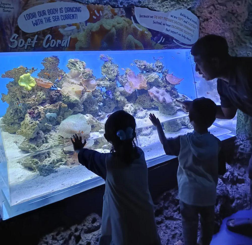 Jakarta Aquarium Safari, Jakarta (instagram.com/firdatika)