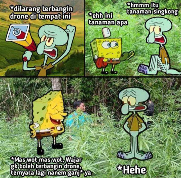 meme Bromo (instagram.com/lawakscience)