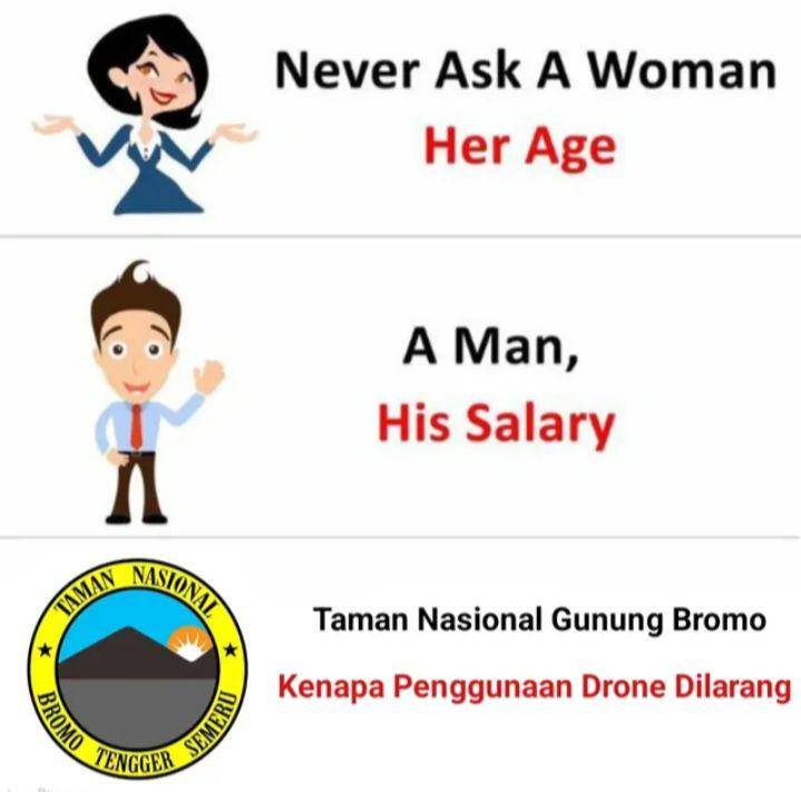 meme Bromo (instagram.com/justinyamazaki)