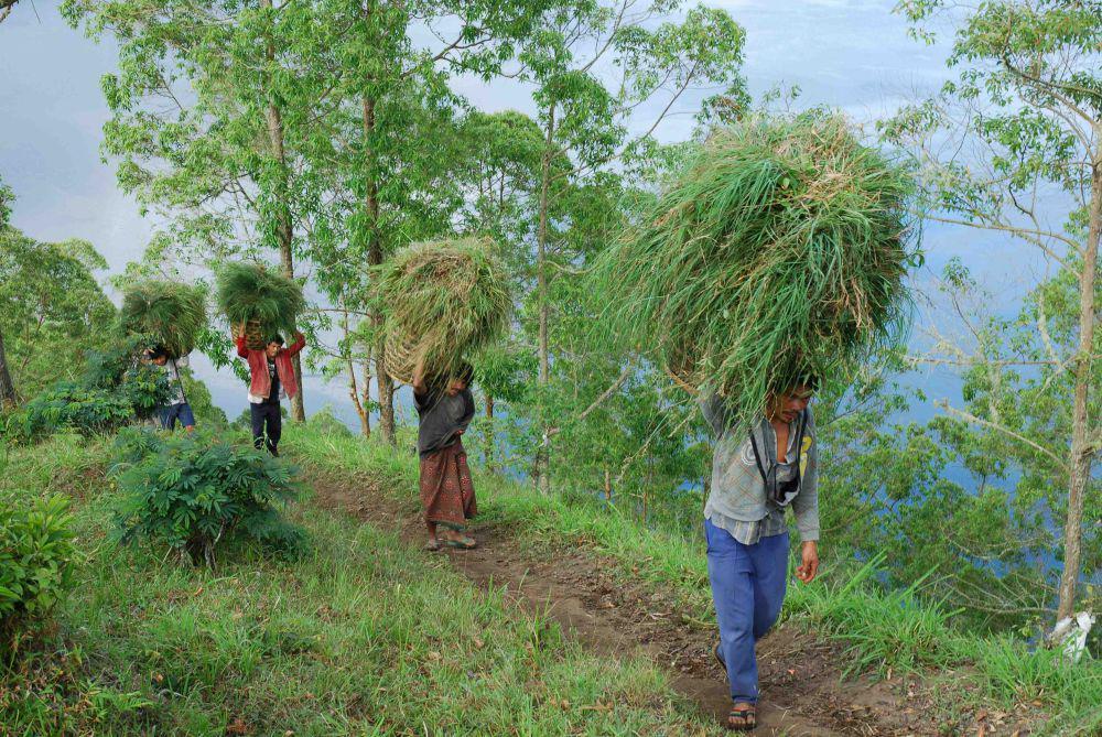 Mitos Larangan Merumput dan Berburu di Lereng Merapi, Angker?