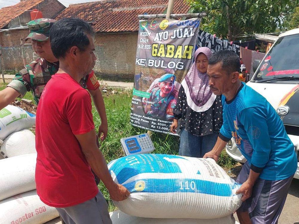 Jelang Lebaran Bulog Jabar Serap 66.000 Ton Gabah Beras Petani