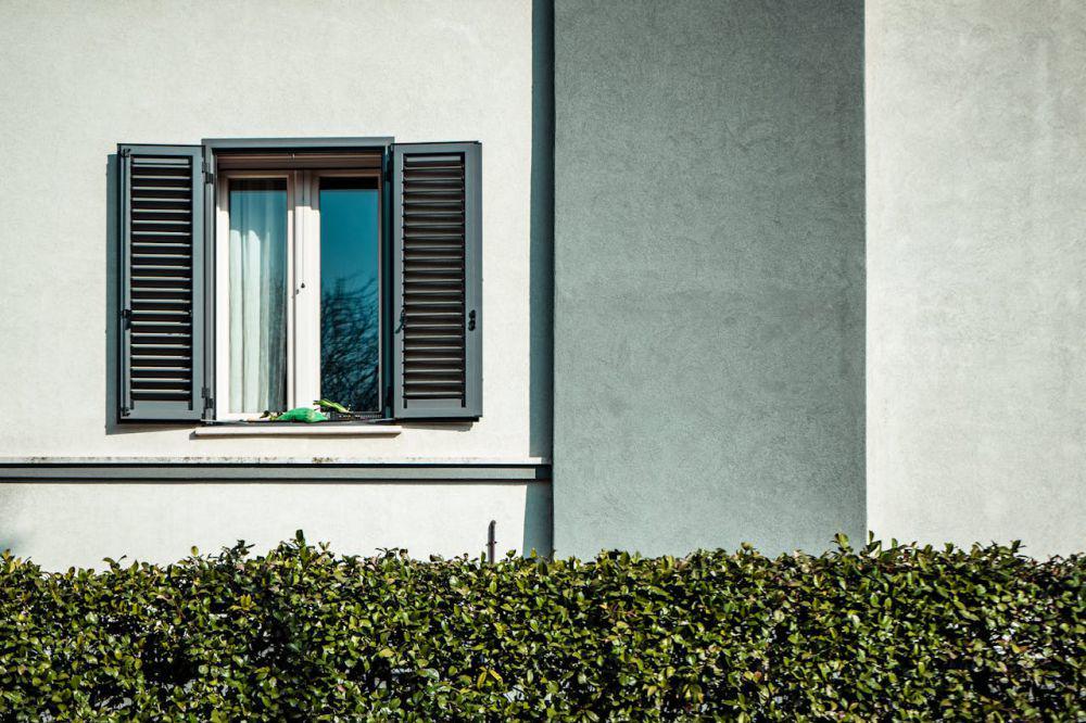 4 Tips Sederhana Menghias Rumah dengan Tanaman Pagar