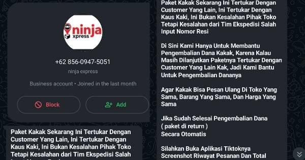 Tampilan chat yang dikirim pelaku. (x.com/wuyosang)