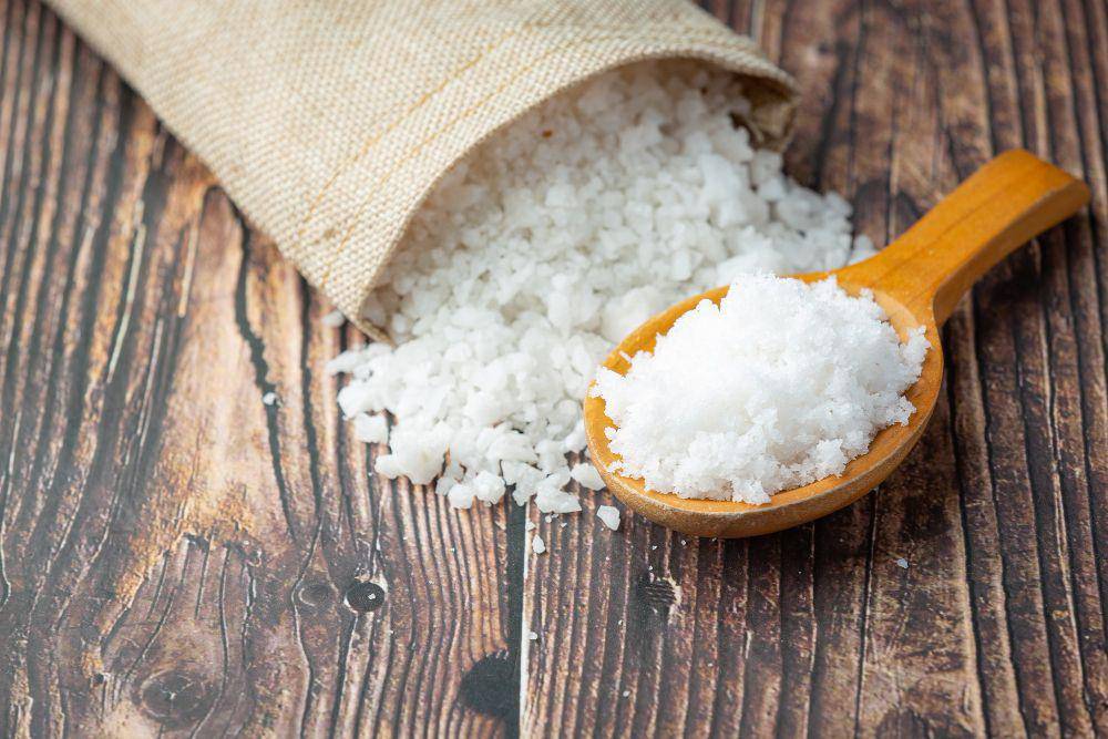 ilustrasi sea salt (freepik.com/jcomp)