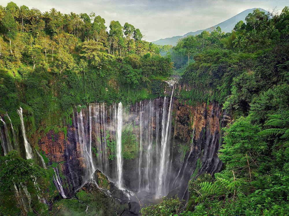 5 Tempat Wisata Hits di Pronojiwo Lumajang yang Seru Buat Liburan