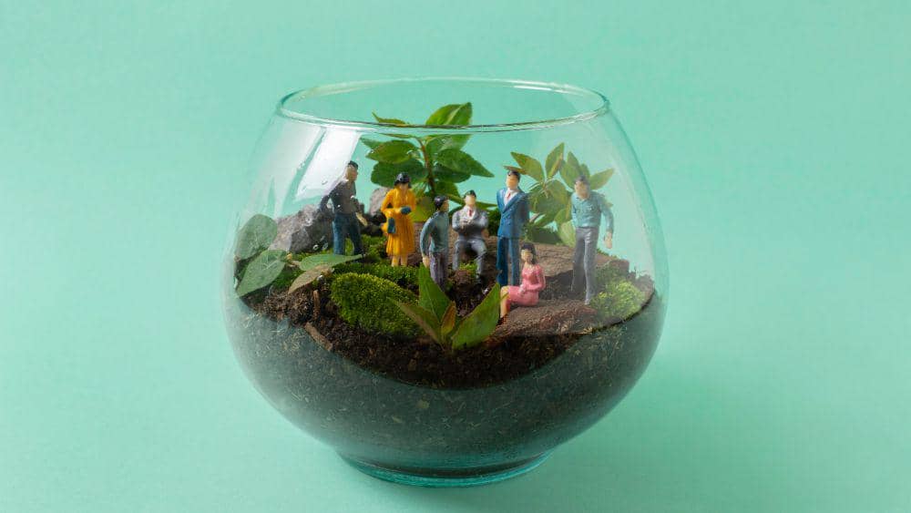 ilustrasi terrarium kaca