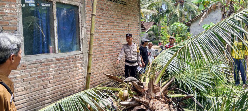 Lansia di Kulon Progo Meninggal Tertimpa Pohon Saat Angin Kencang
