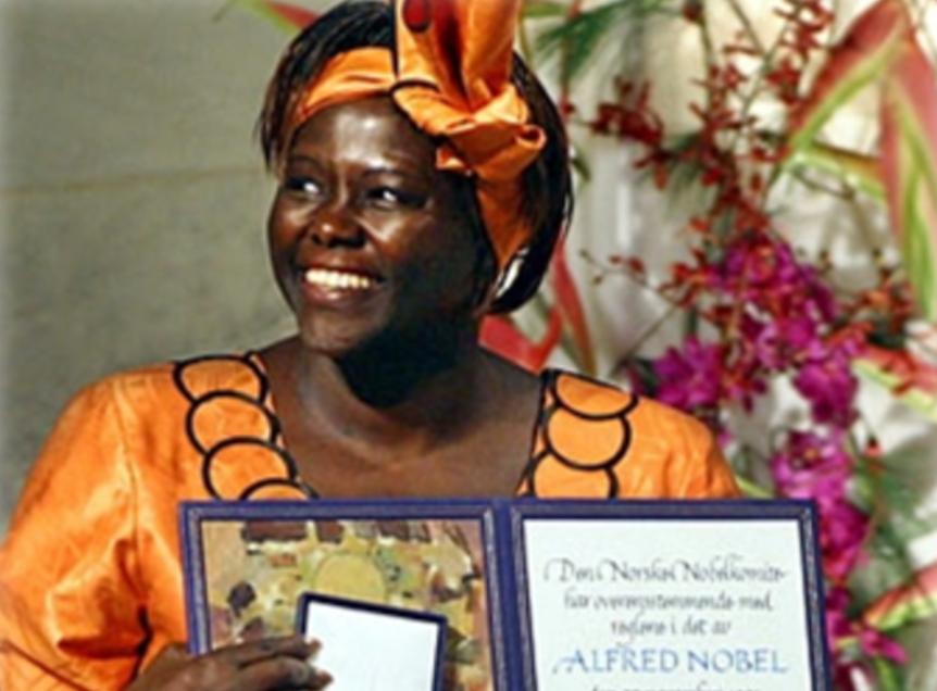 5 Tokoh Afrika yang Mengubah Sejarah Kontinental, Simak Kisahnya!