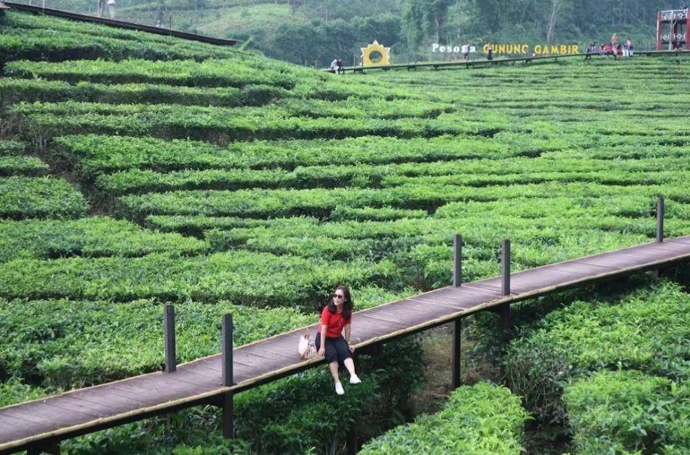 pemandangan kebun teh Gunung Gambir (instagram.com/arthenistravel_sby)