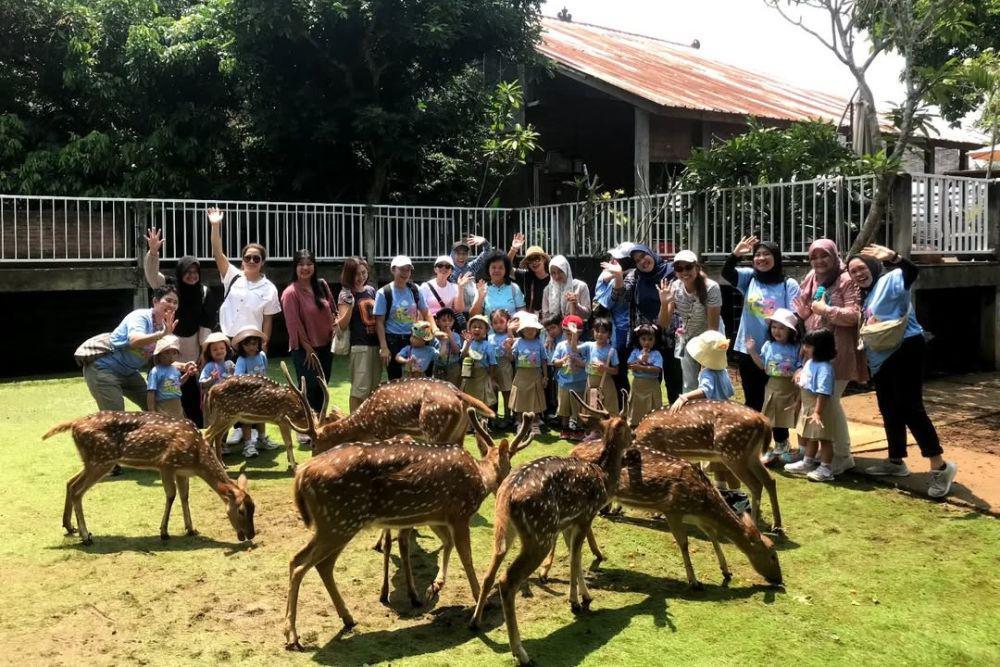 Wisata Nara Kupu Village Depok: Lokasi, Rute, dan Tipsnya