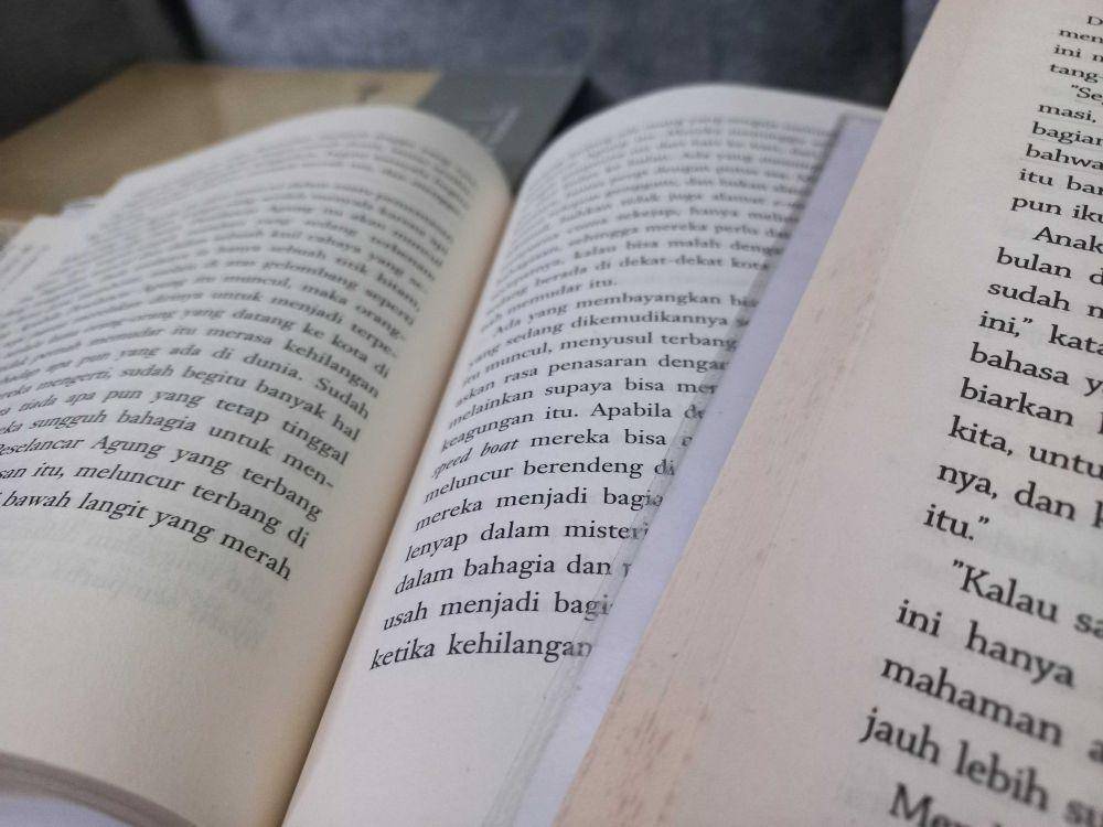 Buku Novel (dok. Zefanya Azzahra Sapna Clarisa)