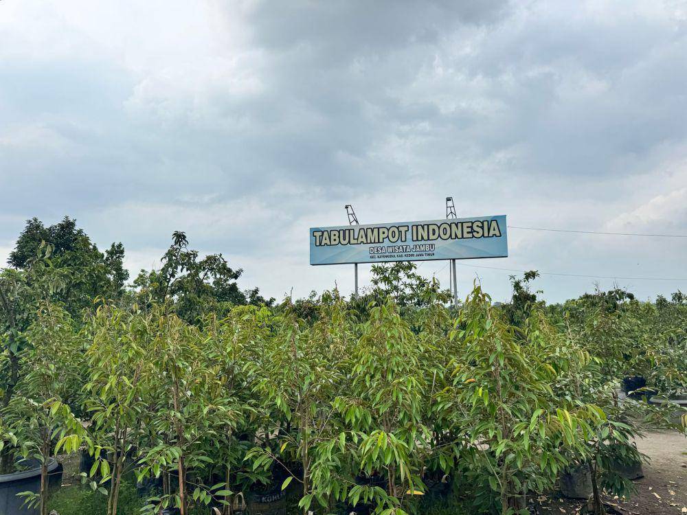 Tabulampot di Kebun Bibit Kediri (Dok. Kebun Bibit Kediri)