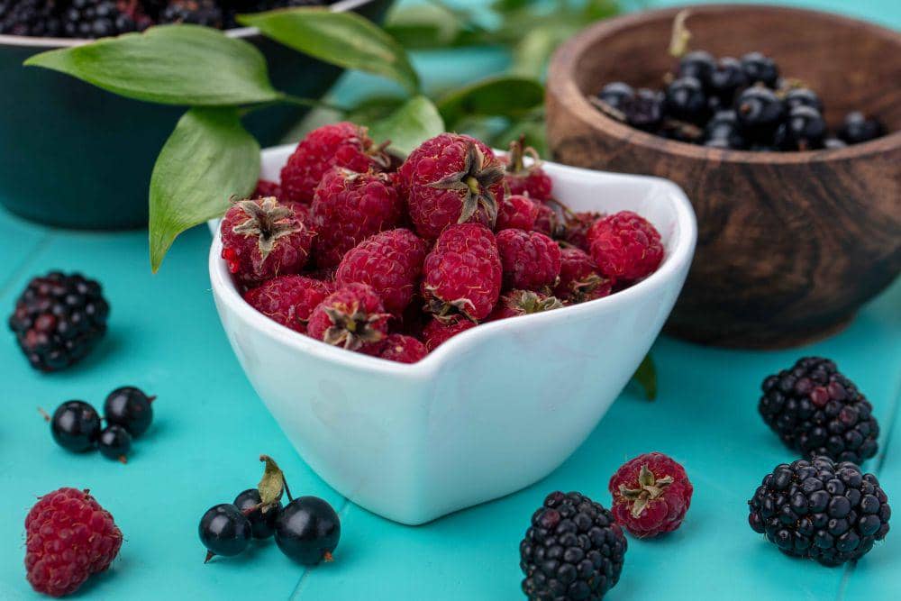 ilustrasi buah berry