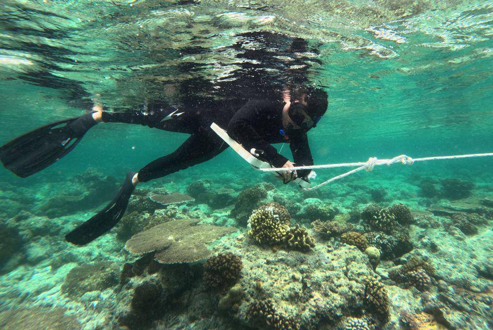 Potret eksostime peraiaran Derawan, Kabupaten Berau. (Dok. YKAN)