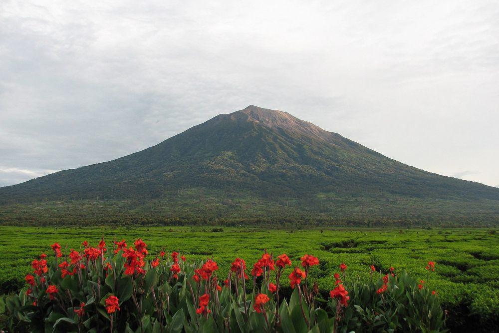 potret Gunung Kerinci (commons.wikimedia.org/Uprising)