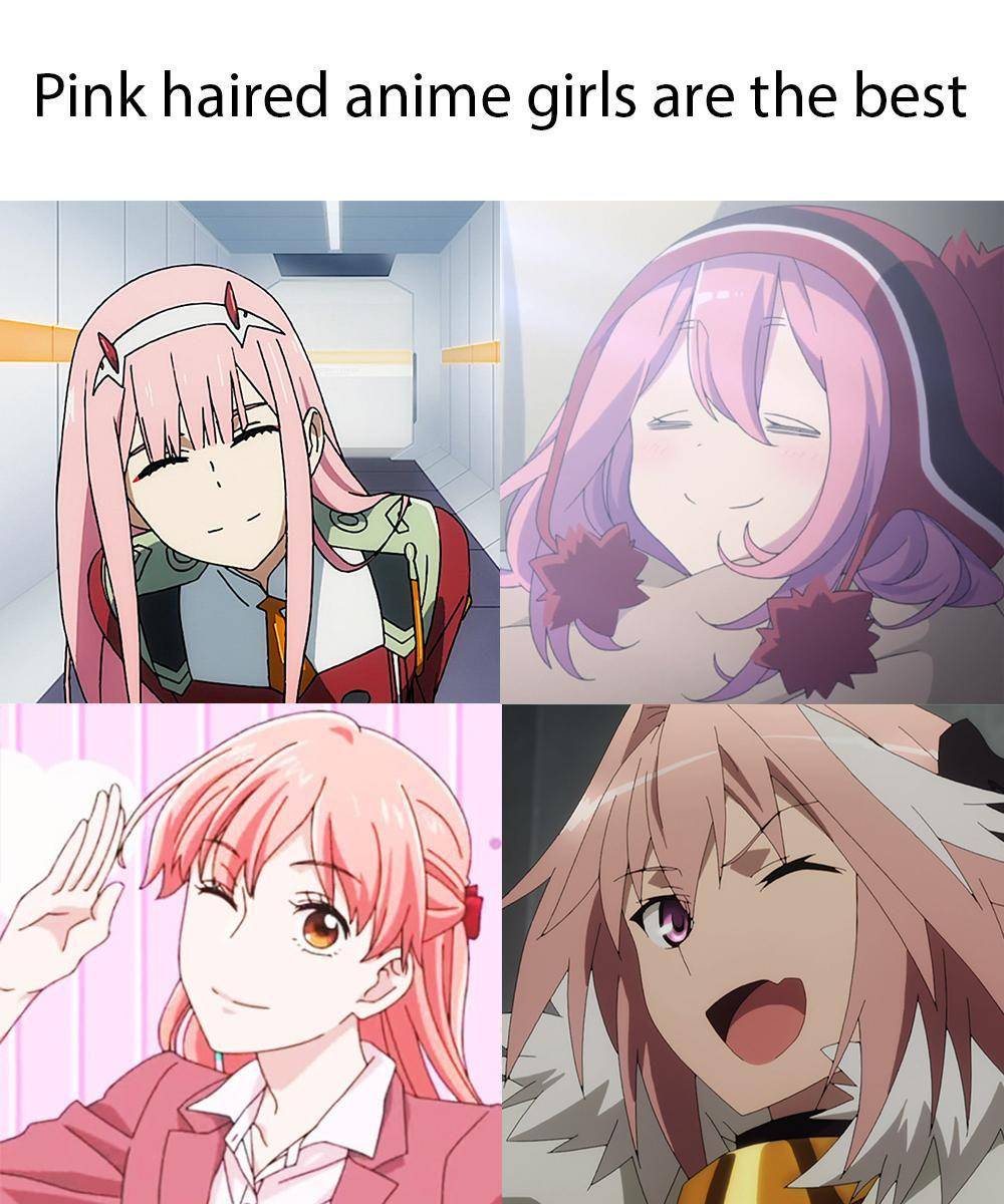 meme Nadeshiko Yuru Camp (reddit.com/user/tehspiah)