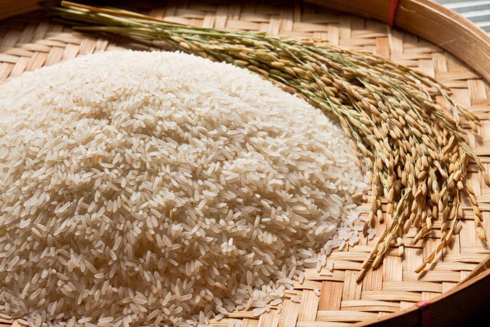 Harga Beras di Bali 19 Juni 2025 dan Pangan Lainnya