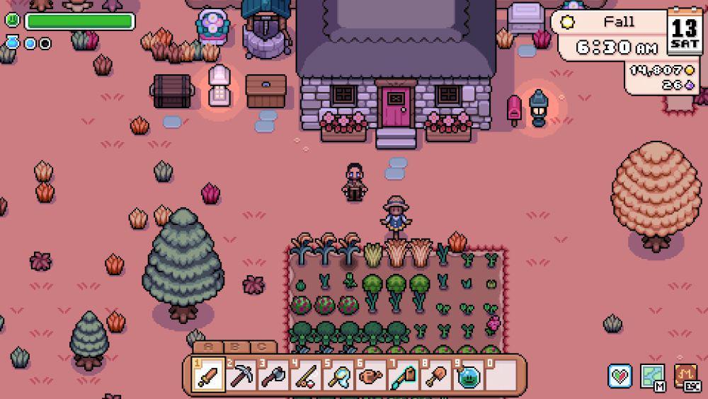 Cara Meningkatkan Kapasitas Tas di Fields of Mistria