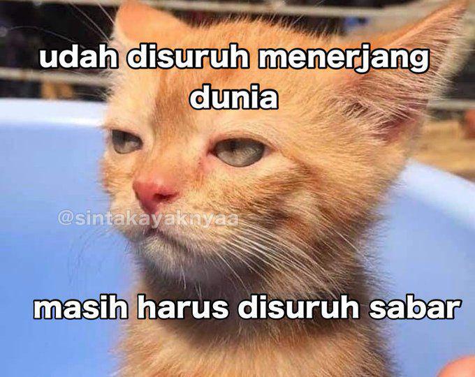 8 Meme Keluhan Hidup yang Gak Ada Habisnya, Pasrah Aja!