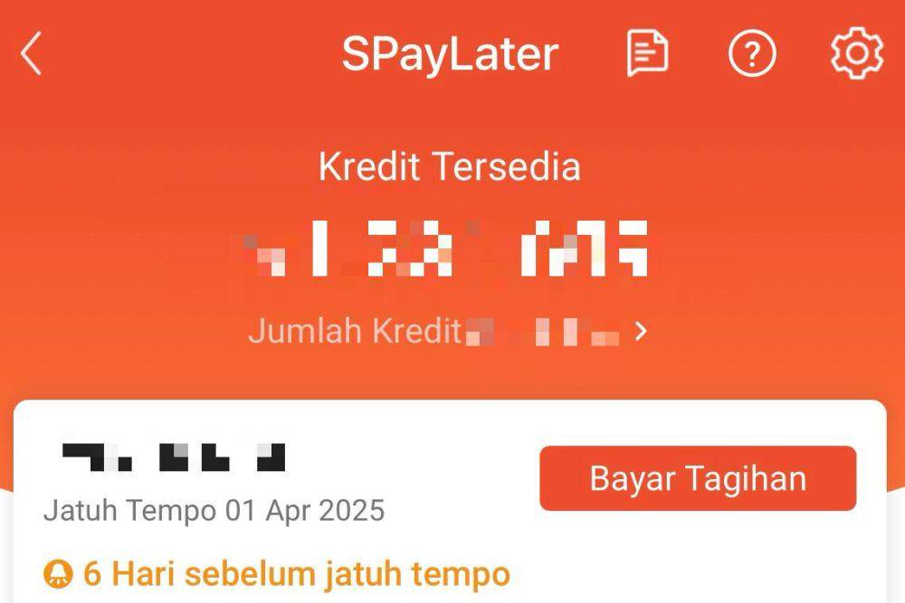 ilustrasi Shopee PayLater (dok. Pribadi/Raymond Clement)