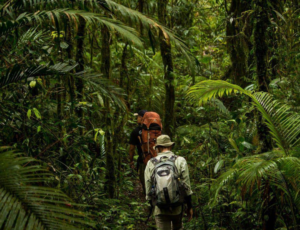 potret Gunung Kerinci (dok. Wild Sumatra)