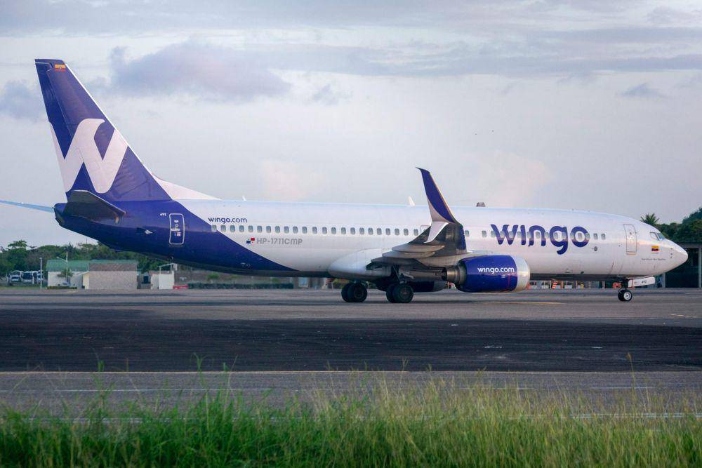 Ilustrasi winglet pesawat (pexels.com/Luis Morales Torres)