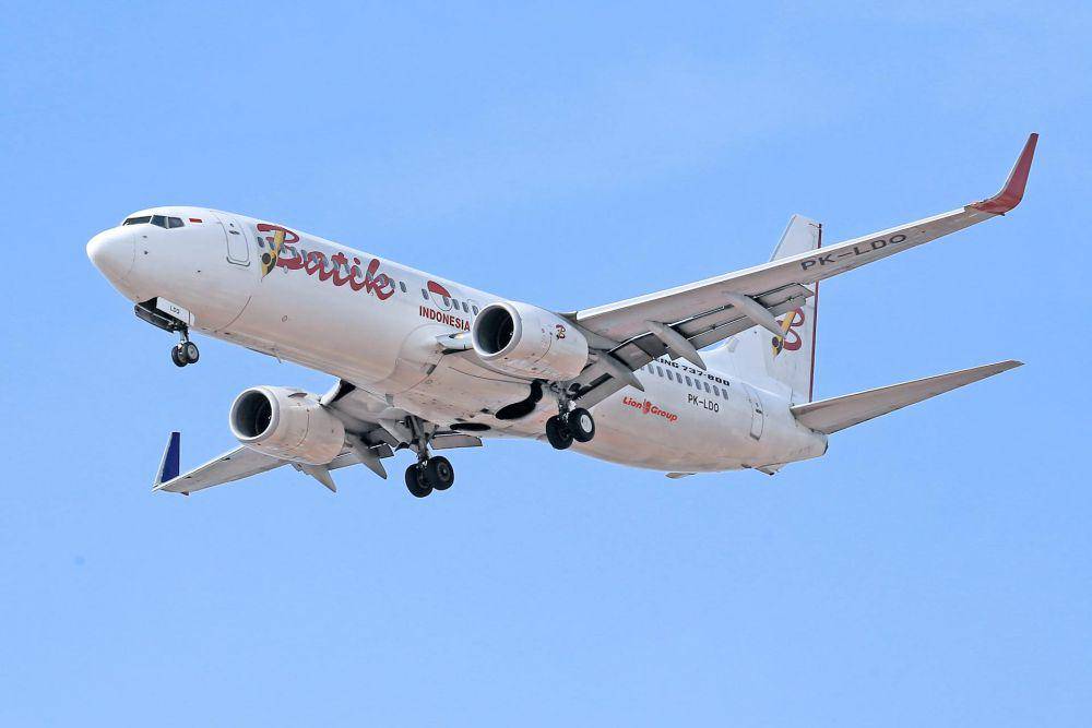 Ilustrasi pesawat Boeing 737 (pexels.com/Jeffry S.S.)