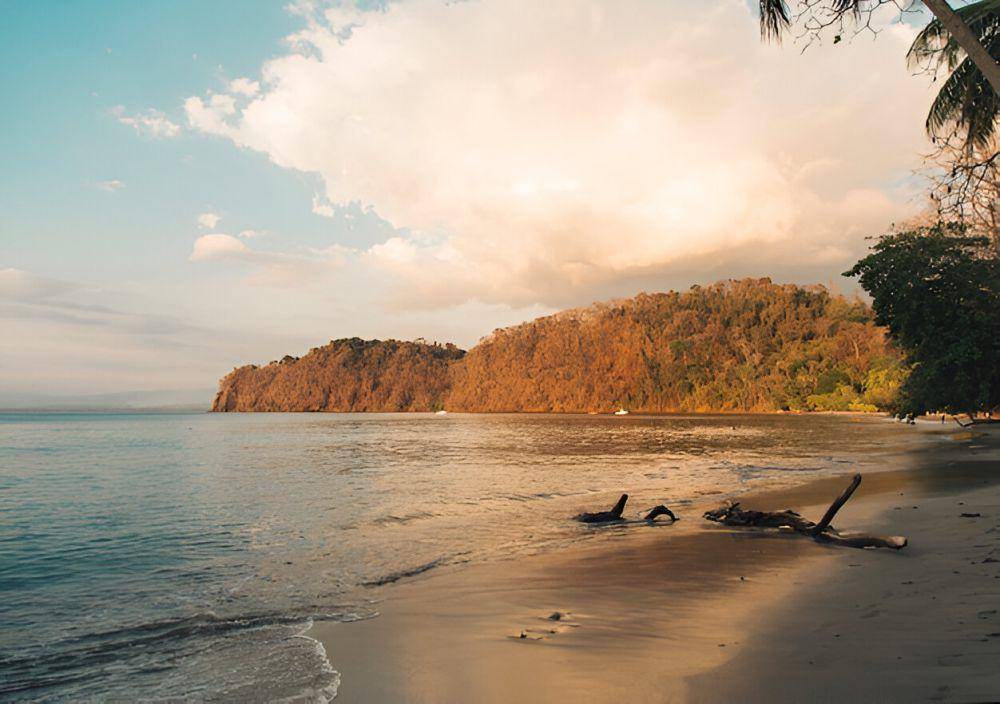 ilustrasi pantai dengan suasana tenang (freepik.com/freepik)