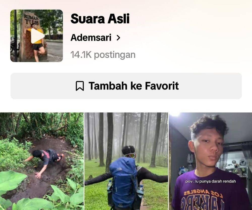 Lirik lagu Alamat Palsu milik Ayu Ting Ting yang Viral di TikTok (tiktok.com/Ademsari)