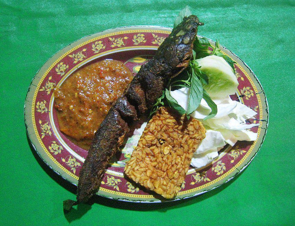 ilustrasi pecel lele (commons.wikimedia.org/Gunawan Kartapranata)