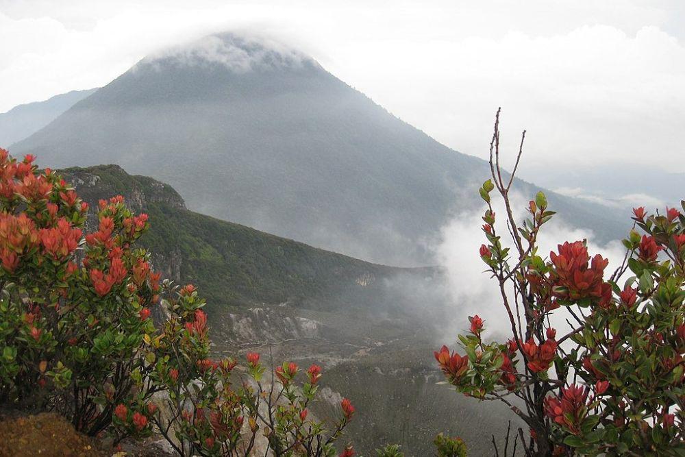 5 Daya Tarik Gunung Gede dan Pangrango yang Memukau Pendaki