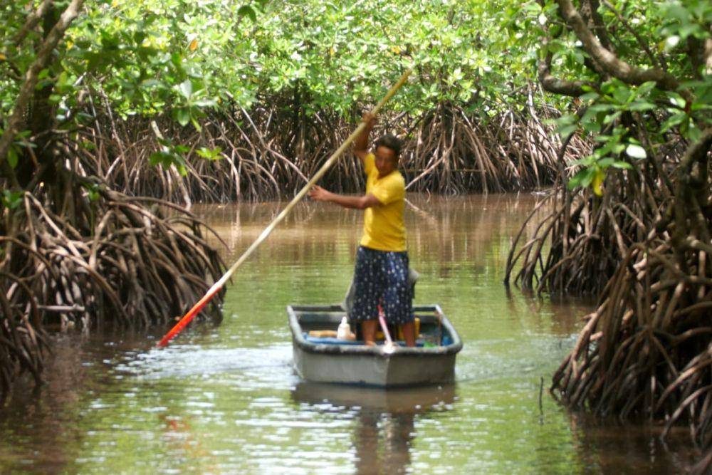 Warga Kampung Panglong, Desa Berakit yang tergabung di dalam kelompok kepiting menaiki rakit setelah mencari bibit bakau (IDN Times/Putra Gema Pamungkas)