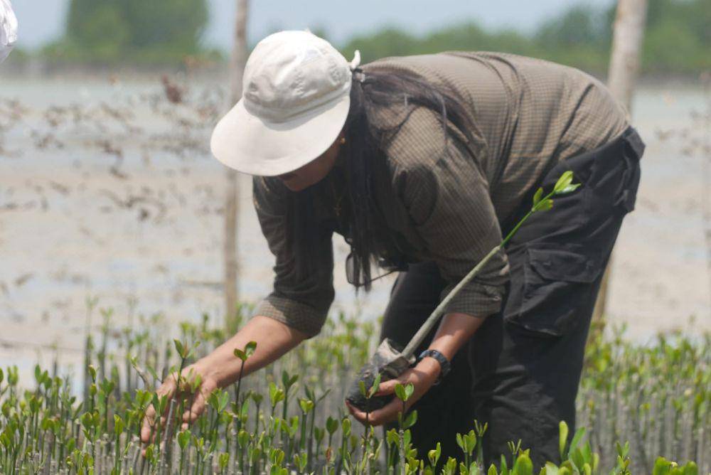 Anggota Pokmaswas Srikandi di Desa Berakit saat membersihkan sampah laut di area penyemaian bibit bakau (IDN Times/Putra Gema Pamungkas)