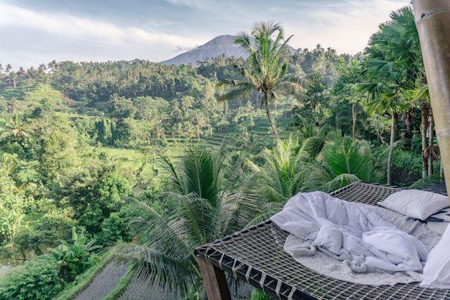 Mengapa Turis Asing Menyukai Ubud?
