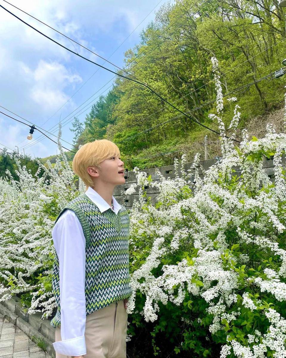 Seungkwan Seventeen (instagram.com/pledis_boos)