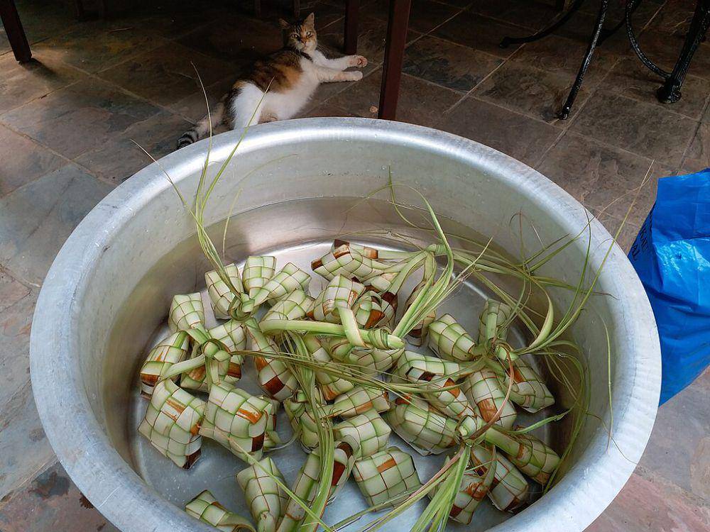 ilustrasi merebus ketupat (commons.wikimedia.org/Azreey)
