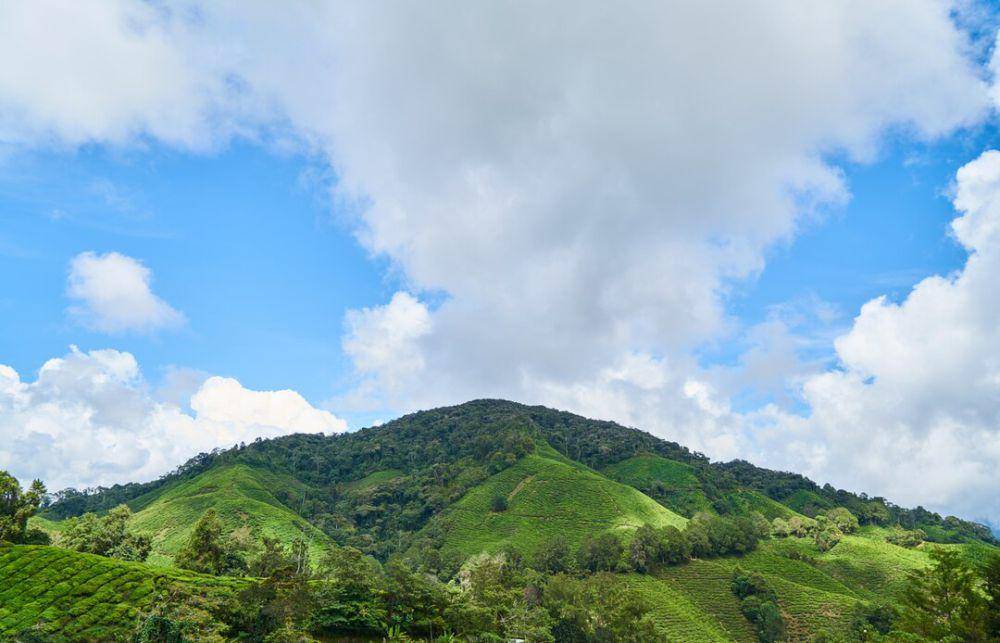 Ilustrasi gunung (freepik.com/freestockcenter)