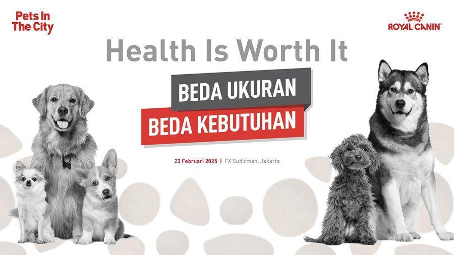 Praktis, Royal Canin Tawarkan Solusi Digital untuk Perawatan Anabul