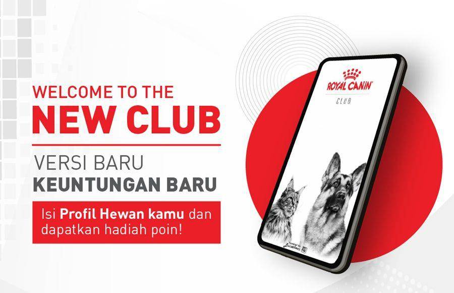 IDN Times/Istimewa