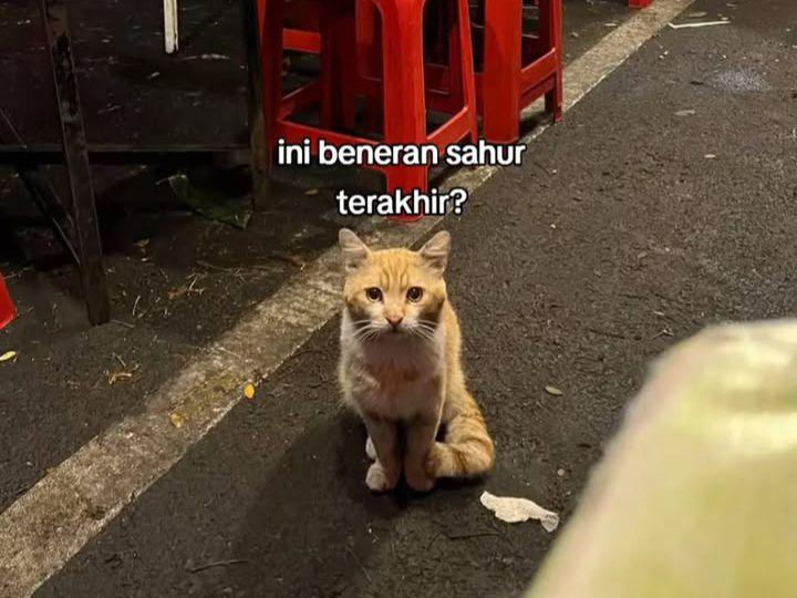 8 Meme Kegiatan Terakhir Ramadan, Besok Udah Lebaran Aja!