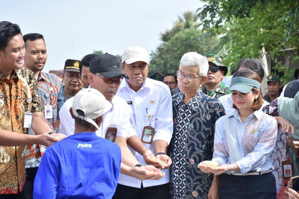 Catatkan Rekor, Penyerapan Gabah Petani Capai 725.000 Ton Setara Beras